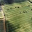 Oblique aerial view centred on the cropmarks of the Roman temporary camp with the rectilinear enclosure adjacent, taken from the SW.