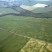 Oblique aerial view of the cropmarks at Kirklands