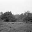 Formakin House Lodges, Erskine, Renfrewshire
