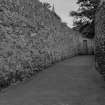 The Hermitage, Back Dykes garden wall, Part of Lovers' Loan, Anstruther Easter parish, Fife
