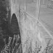 On-line Digital Images