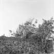 General view of former Relief Church, 75 North Castle Street, Banff, from adjacent garden.