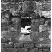 Window detail, room to the south of the Chapter House, Kilwinning Abbey, Kilwinning, North Ayrshire 