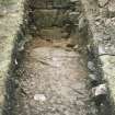 Trench 5: exterior wall of the S wing of the W outer range. Abutting the wall is an older cobbled surface (40) and is the foreground is a cobbled surface (15) from a later phase of use.