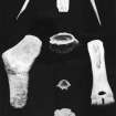 Finds Photograph:  Bone artefacts.