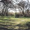 General view of burial ground.