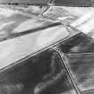 Inverpeffer, oblique aerial view, taken from the SSE, centred on linear cropmarks and the cropmarks of a farmsteading and rig.