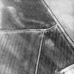 Inverpeffer, oblique aerial view, taken from the NW, centred on various linear cropmarks.