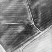 Inverpeffer, oblique aerial view, taken from the N, centred on various linear cropmarks.