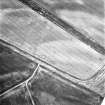Inverpeffer and East Haven Airfield, oblique aerial view, taken from the E, centred on various linear cropmarks. A possible rectilinear enclosure is visible in the bottom left-hand corner of the photograph, and a disused runway runs across the top half.