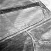 Carlton Mains, oblique aerial view, taken from the W, centred on the cropmark of an enclosure.