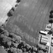 Pitmuies, oblique aerial view, taken from the NW, centred on the cropmarks of a pit-circle and a possible unenclosed settlement, linear cropmarks and rig.