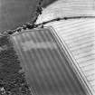 Oblique aerial view of the cropmarks of the ring ditch, looking S.