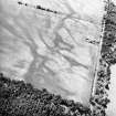 Carsie Mains, oblique aerial view, taken from the ENE, centred on a complex of cropmarks including pit features, ring-ditches and linear cropmarks.