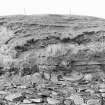 Photograph showing coastal erosion of structural features.