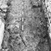 Excavation photograph : east range - room 2 fireplace, from west.