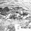 Construction Photograph: Coastal restorative work to build a breakwater for the future protection of Jarlshof.
3rd beach section N-S.