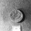Small Find   : copper coin.