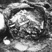 Area 2 with skull of skeleton 305 visible; cremation urn under excavation (find 1193, context 257); skeleton 253 during excavation; skeleton 309 before excavation; box section through 268; skeleton 309 under excavation.