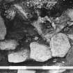 Excavation photograph : trench H - ox skull SF 160.

(see MS/682/120 for detailed description)