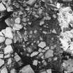 Excavation photograph : trench AH Baulk - photogram - E76-78, N64-66.

(see MS/682/120 for detailed description)