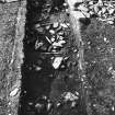Excavation photograph : trench G - exploratory trench, animal burials removed.

(see MS/682/120 for detailed description)