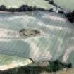 Aerial view of enclosure, Tarradale, Beauly Firth, looking N.