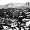 Papa Westray, Munkerhoose excavation archive
Area 2: Upper Section: N end: final photographs. From W.
