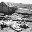 Photograph from excavation of burnt bound