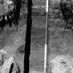 Excavation photograph. View of trench.