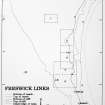 Contour survey and excavation area plans.