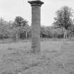 General view of Old Fochaber's Market Cross, Gordon Castle estate.