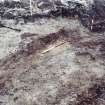 E29  D2 Ditch F1