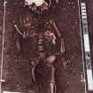 E19  28 Child's skeleton Trench 5 SK23