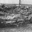 Excavation photograph : East facing section, cellar 3.