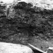 Excavation photograph : Wattle/stakes, 265 in section, looking west.