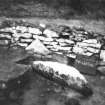 Excavation photograph - trench 1, area A, central - E section of N wall, from S.
Photographic copy of polaroid print. Copied 1995.