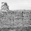 Survey photograph : site 51b - part of front elevation of earlier domestic unit, with internal access to byre; and living area with chimney at either end.