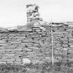 Survey photograph : site 51b - part of front elevation of earlier domestic unit, with internal access to byre; and living area with chimney at either end.