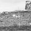 Survey photograph : site 51b - part of front elevation of earlier domestic unit, with internal access to byre; and living area with chimney at either end.