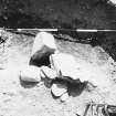 Excavation photograph.