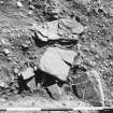 Excavation photograph.