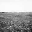 Excavation photograph.  General view - mound.
(1994 copy from original colour neg.)