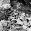 Excavation photograph : close up of partially collapsed S wall, built in 20th century, from N.