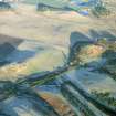 Aerial view of Easter & Wester Rarichie near Shandwick, Tarbet Ness, looking NE.