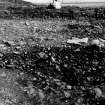 Excavation photograph : Trench D, looking east.