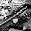 Excavation photograph : SW. BB - brushwood/flush - detail