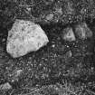 Excavation photograph : Stones in feature.