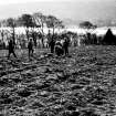 Excavation photograph : fieldwalking pre-excavation.