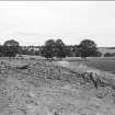 Excavation photograph.